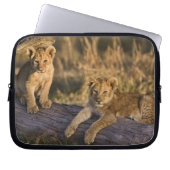 Lion Cubs auf Log Laptopschutzhülle (Vorderseite)