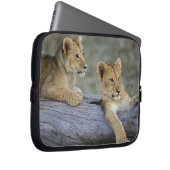Lion Cubs auf Log Laptopschutzhülle (Vorne Rechts)