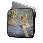 Lion Cubs auf Log Laptopschutzhülle (Vorderseite Links)