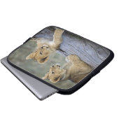 Lion Cubs auf Log Laptopschutzhülle (Vorne Knopf)