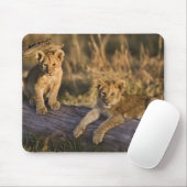 Lion Cubs auf Log Mousepad (Mit Mouse)