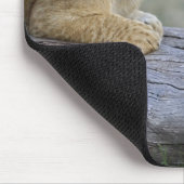 Lion Cubs auf Log Mousepad (Ecke)