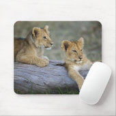 Lion Cubs auf Log Mousepad (Mit Mouse)