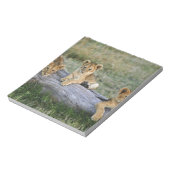 Lion Cubs auf Log Notizblock (Rotiert)