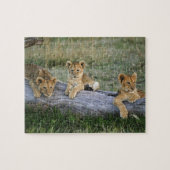 Lion Cubs auf Log Puzzle (Horizontal)