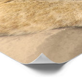 Lion Cubs beste Freunde Poster (Ecke)