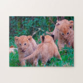 Lion Cubs Big Cats. Puzzle (Horizontal)