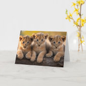 Lion Cubs Grußkarte Karte (Gelbe Blume)