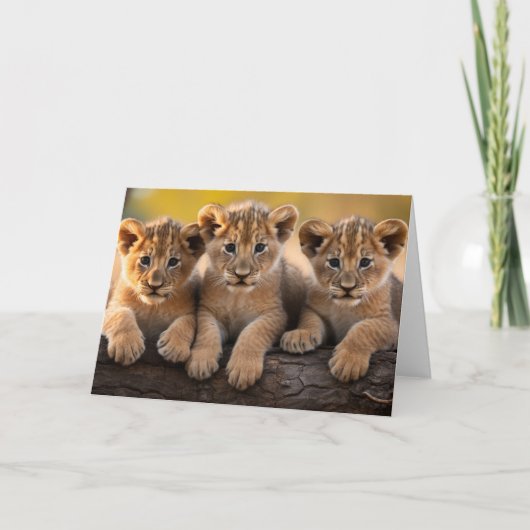 Lion Cubs Grußkarte Karte (Vorderseite)