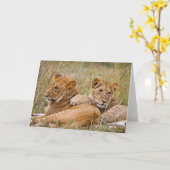 Lion Cubs Lounging Karte (Gelbe Blume)