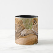 Lion Cubs Lounging Tasse (Zentrum)