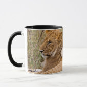 Lion Cubs Lounging Tasse (Links)