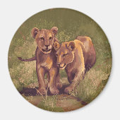Lion Cubs Magnet (Vorne)