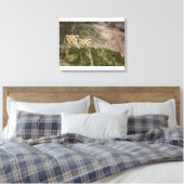 Lion Cubs pinkeln über den Felsen Leinwanddruck (Insitu (Schlafzimmer))