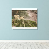 Lion Cubs pinkeln über den Felsen Leinwanddruck (Insitu (Holzboden))