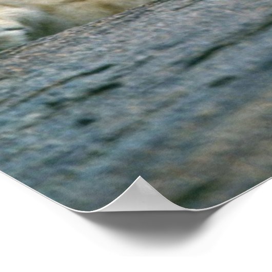 Lion Cubs Poster (Ecke)