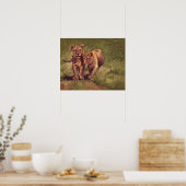 Lion Cubs Poster (Küche)