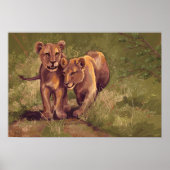 Lion Cubs Poster (Vorne)