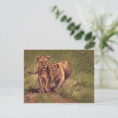 Lion Cubs Postkarte (Stehend Vorderseite)