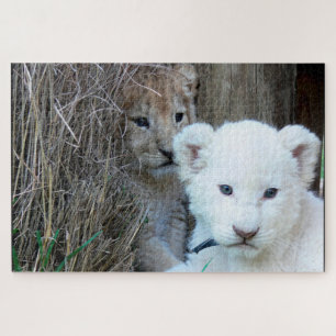 Lion Cubs Puzzle