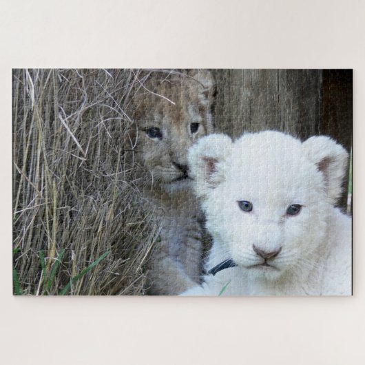 Lion Cubs Puzzle (Horizontal)