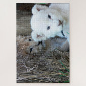 Lion Cubs Puzzle (Vertikal)