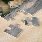 Lion Cubs Puzzle (Seite)