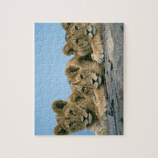 Lion Cubs Puzzle (Vertikal)
