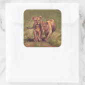 Lion Cubs Quadratischer Aufkleber (Tasche)