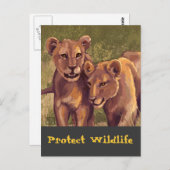 Lion Cubs schützen die Wildnis Postkarte (Vorne/Hinten)