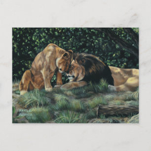 Lion Cuddle Postcard Postkarte