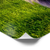 Lion der König des Waldes Poster (Ecke)