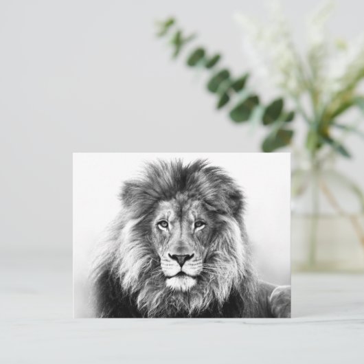 Lion Design Postkarte (Stehend Vorderseite)