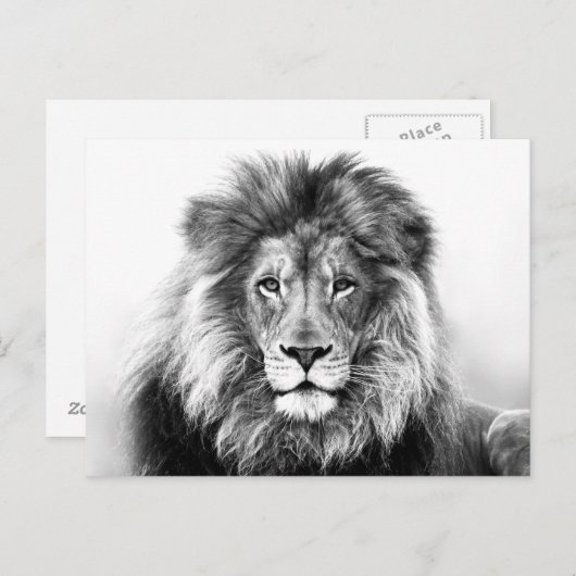 Lion Design Postkarte (Vorne/Hinten)