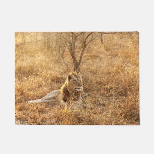 Lion Doormat Fußmatte (Vorderseite)
