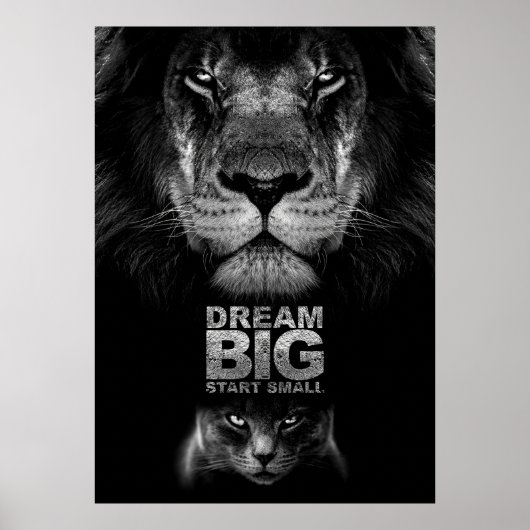 Lion Dream BIG Start Small Poster (Vorne)