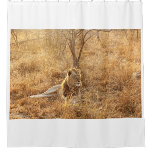 Lion Duschvorhang (Vorderseite)