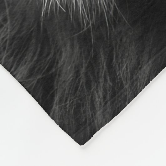 Lion erinnere dich daran, wer du bist fleecedecke (Ecke)