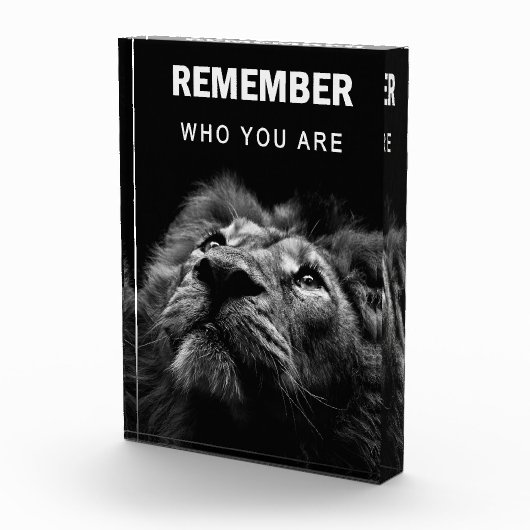 Lion erinnere dich daran, wer du bist fotoblock (Rechts)