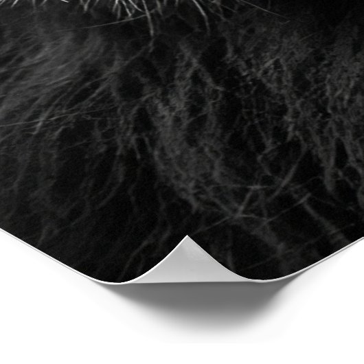 Lion erinnere dich daran, wer du bist poster (Ecke)