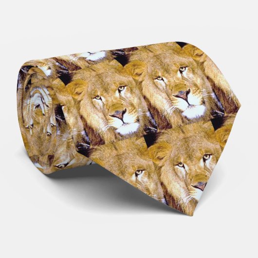 Lion Eyes Krawatte (Gerollt)
