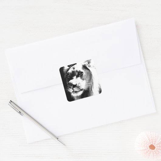 Lion Eyes Quadratischer Aufkleber (Umschlag)