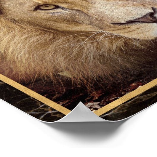 Lion Face Closeup Foto Image Print Poster (Ecke)