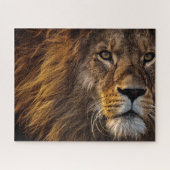 Lion Face Closeup Foto Puzzle (Horizontal)
