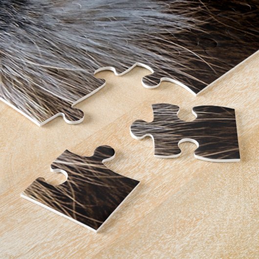 Lion Face Closeup Foto Puzzle (Seite)