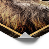 Lion Face Foto Image Print Poster (Ecke)