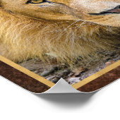 Lion Face Foto Poster (Ecke)