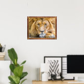 Lion Face Foto Poster (Heimbüro)