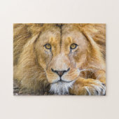 Lion Face Foto Puzzle (Horizontal)
