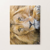 Lion Face Foto Puzzle (Vertikal)